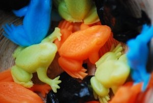 Milyen béka? (freeimages / frog-1432768-m)